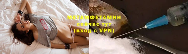 прущие грибы Нефтекумск