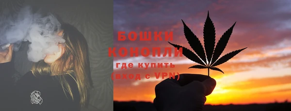 прущие грибы Нефтекумск