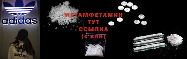 прущие грибы Нефтекумск