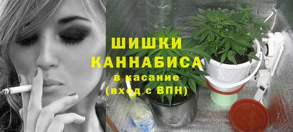 ПСИЛОЦИБИНОВЫЕ ГРИБЫ Нея